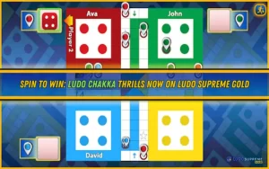 Ludo Chakka