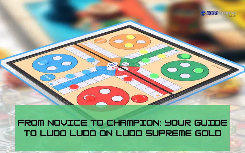 Ludo ludo