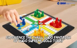 ludo fantastic